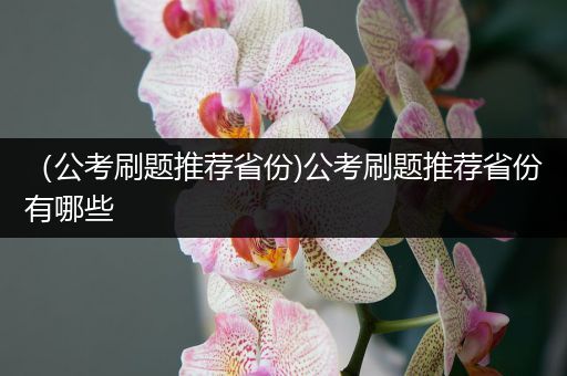 （公考刷题推荐省份)公考刷题推荐省份有哪些