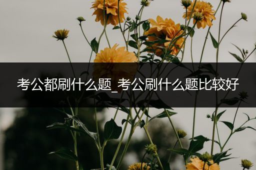 考公都刷什么题_考公刷什么题比较好