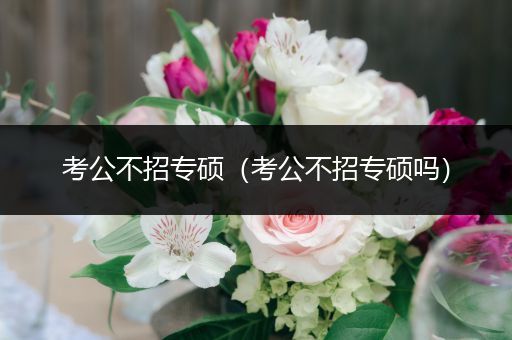 考公不招专硕（考公不招专硕吗）