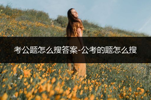 考公题怎么搜答案-公考的题怎么搜