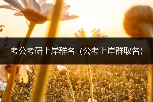 考公考研上岸群名（公考上岸群取名）