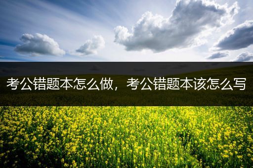 考公错题本怎么做，考公错题本该怎么写