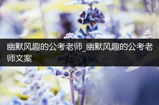 幽默风趣的公考老师_幽默风趣的公考老师文案