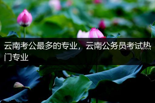 云南考公最多的专业，云南公务员考试热门专业