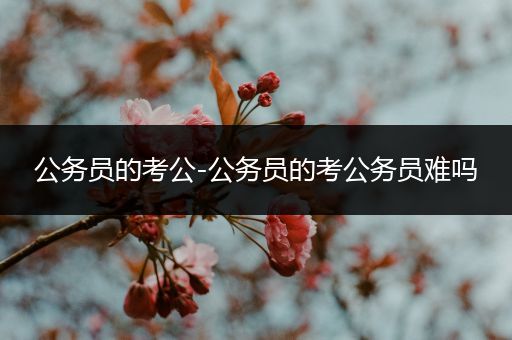 公务员的考公-公务员的考公务员难吗