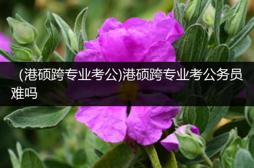 （港硕跨专业考公)港硕跨专业考公务员难吗