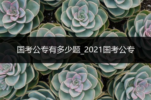 国考公专有多少题_2021国考公专