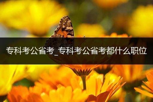 专科考公省考_专科考公省考都什么职位
