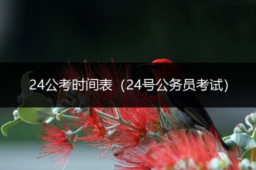 24公考时间表（24号公务员考试）