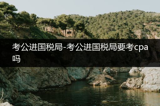 考公进国税局-考公进国税局要考cpa吗