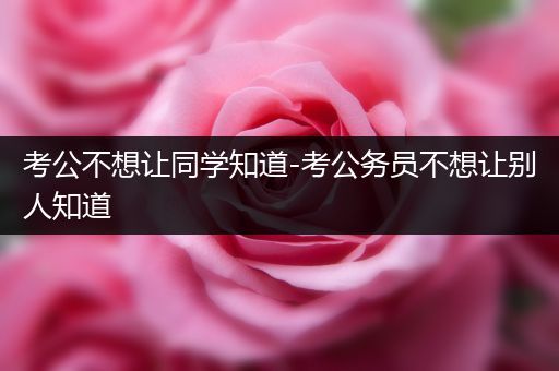 考公不想让同学知道-考公务员不想让别人知道
