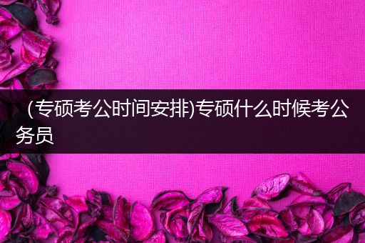 （专硕考公时间安排)专硕什么时候考公务员