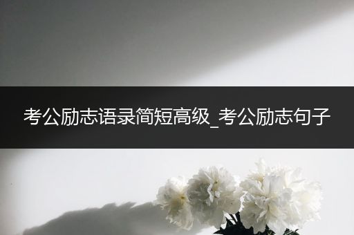 考公励志语录简短高级_考公励志句子