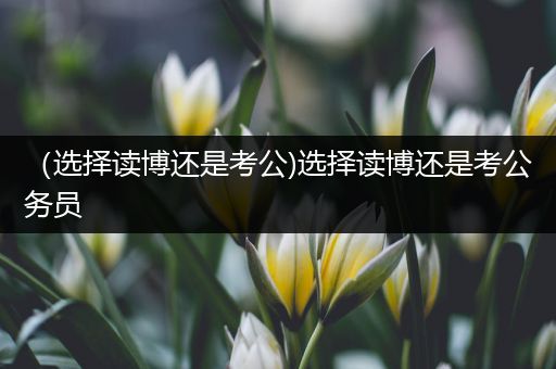 （选择读博还是考公)选择读博还是考公务员