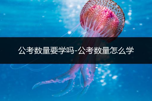 公考数量要学吗-公考数量怎么学