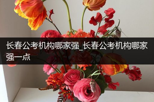 长春公考机构哪家强_长春公考机构哪家强一点