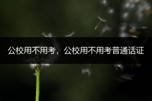 公校用不用考，公校用不用考普通话证