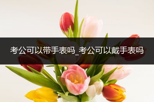 考公可以带手表吗_考公可以戴手表吗