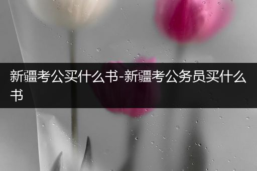 新疆考公买什么书-新疆考公务员买什么书