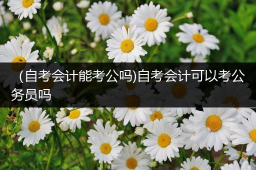 （自考会计能考公吗)自考会计可以考公务员吗