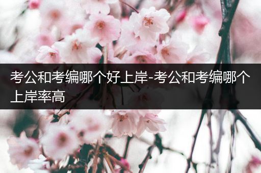 考公和考编哪个好上岸-考公和考编哪个上岸率高