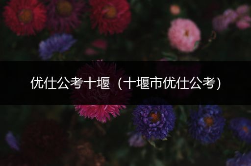 优仕公考十堰（十堰市优仕公考）