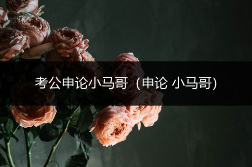 考公申论小马哥（申论 小马哥）