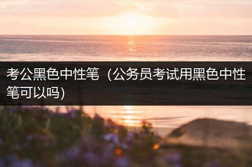 考公黑色中性笔（公务员考试用黑色中性笔可以吗）