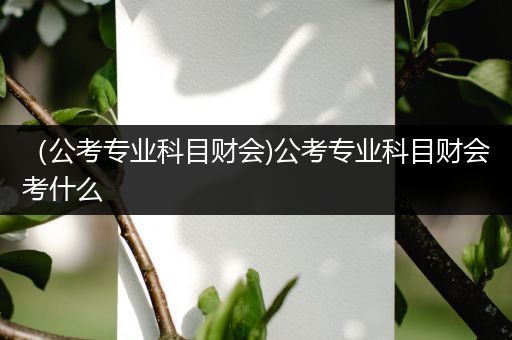 （公考专业科目财会)公考专业科目财会考什么