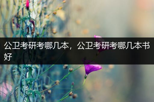 公卫考研考哪几本，公卫考研考哪几本书好