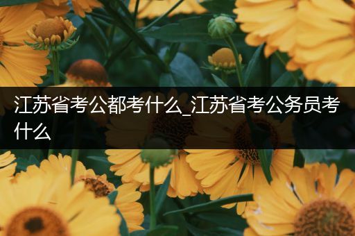 江苏省考公都考什么_江苏省考公务员考什么