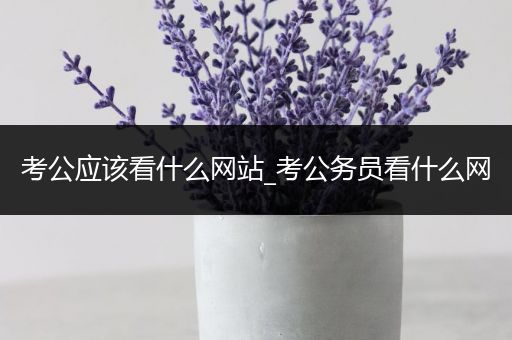 考公应该看什么网站_考公务员看什么网