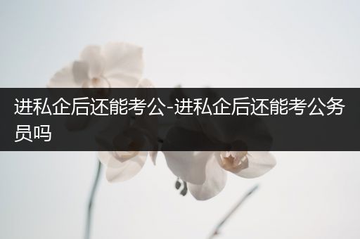 进私企后还能考公-进私企后还能考公务员吗