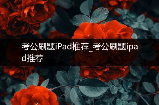 考公刷题iPad推荐_考公刷题ipad推荐