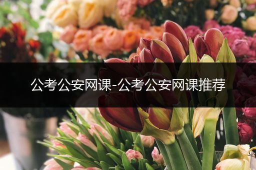 公考公安网课-公考公安网课推荐