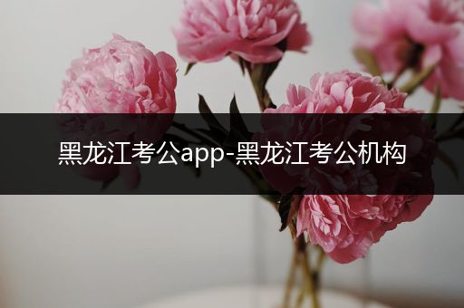 黑龙江考公app-黑龙江考公机构