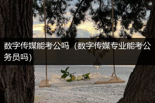 数字传媒能考公吗（数字传媒专业能考公务员吗）