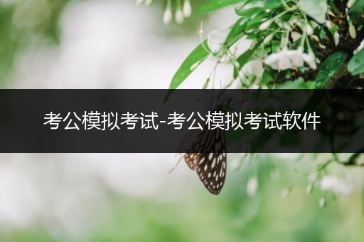 考公模拟考试-考公模拟考试软件