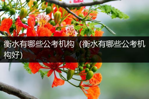 衡水有哪些公考机构（衡水有哪些公考机构好）