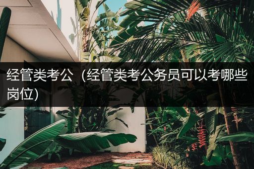 经管类考公（经管类考公务员可以考哪些岗位）