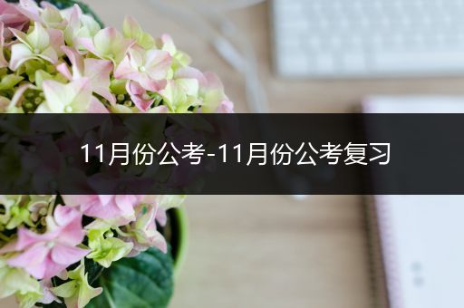 11月份公考-11月份公考复习