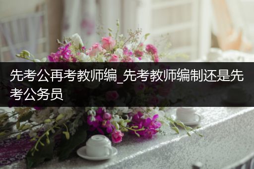 先考公再考教师编_先考教师编制还是先考公务员