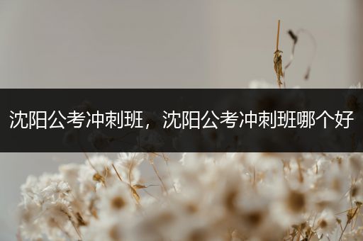 沈阳公考冲刺班，沈阳公考冲刺班哪个好