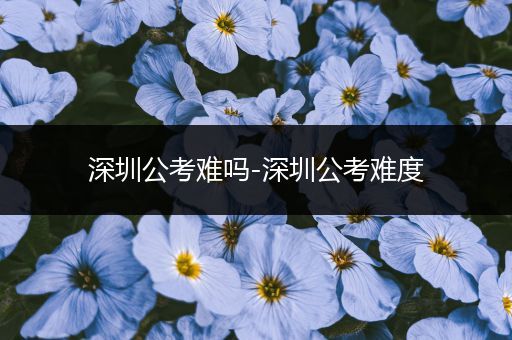 深圳公考难吗-深圳公考难度