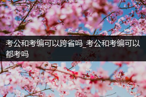 考公和考编可以跨省吗_考公和考编可以都考吗