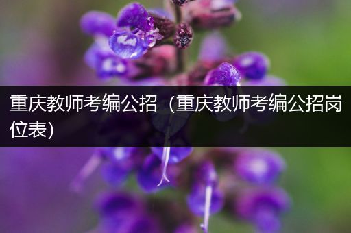 重庆教师考编公招（重庆教师考编公招岗位表）