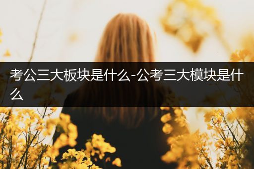 考公三大板块是什么-公考三大模块是什么