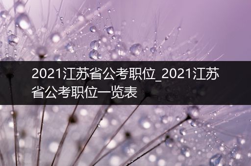 2021江苏省公考职位_2021江苏省公考职位一览表