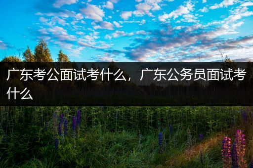 广东考公面试考什么，广东公务员面试考什么