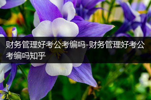 财务管理好考公考编吗-财务管理好考公考编吗知乎